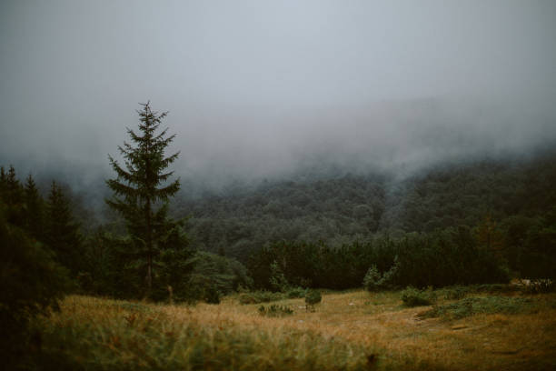 istock Mountain top under the heavy fog 1341845210