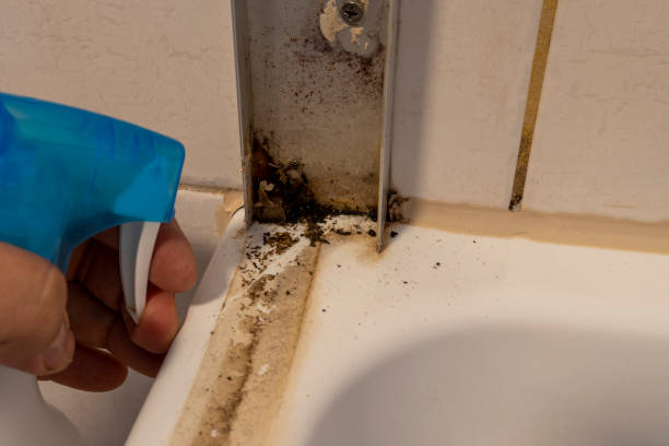 istock dirty tile cleaning and mold removing from grout 1341845805