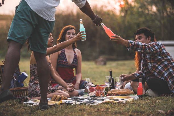 Friends made possible the nicest ideas Low angle view of a group of happy friends sitting on the grass and having a picnic while one of them brings them colorful refreshing drinks for this summer afternoon. club soda stock pictures, royalty-free photos & images