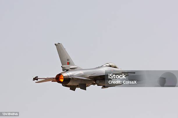 Português F16 Retire - Fotografias de stock e mais imagens de Aeroporto - Aeroporto, Armamento, Avião