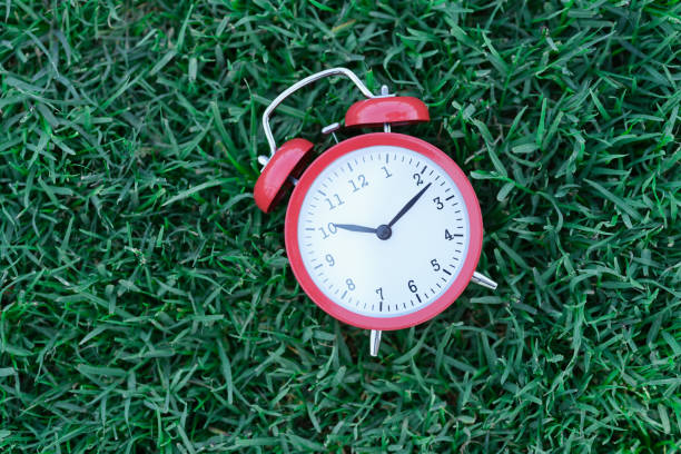istock Red classic alarm clock lying on green grass closeup 1341849094