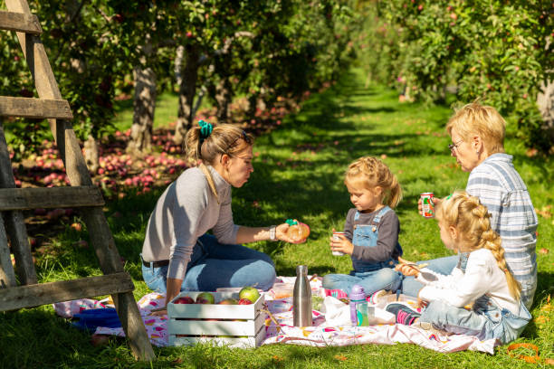 family picnic in an orchard and apple picking - apple tree apple orchard apple autumn imagens e fotografias de stock