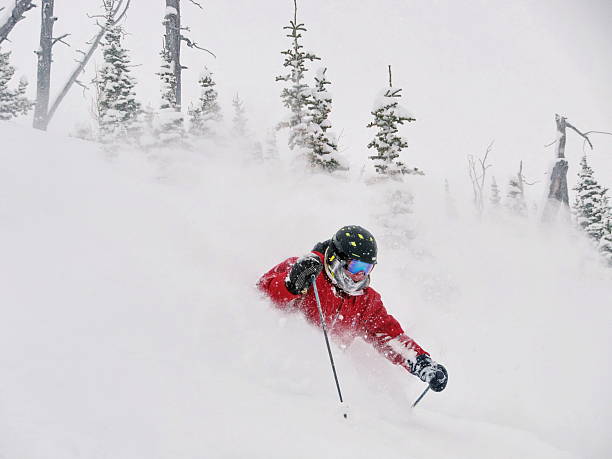 Ski Alberta Powder stock photo