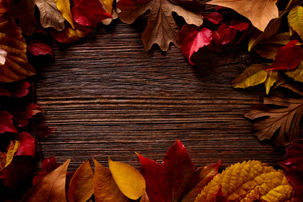 istock Autumn fall frame golden red leaves on wood 1341853893