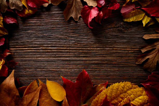 istock Autumn fall frame golden red leaves on wood 1341853929