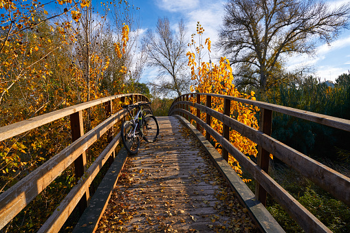 Sunset bike on autumn fall wood bridge at Parque de Turia of Valencia park in spain