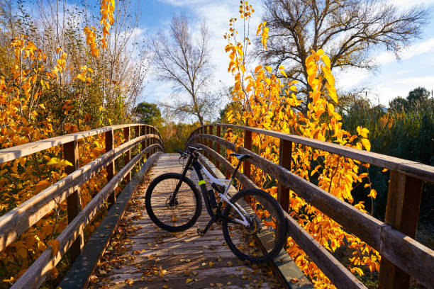 istock Autumn sunset bike on bridge Parque de Turia 1341854331