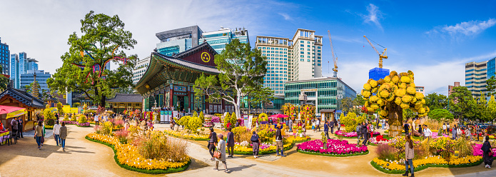 People enjoying the colourful displays of the Chrysanthemum Festival at the Jogyesa Temple in central Seoul, South Korea.
