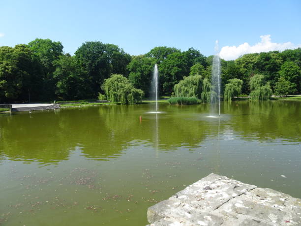 istock Park landscape with the small  lake 1341855894
