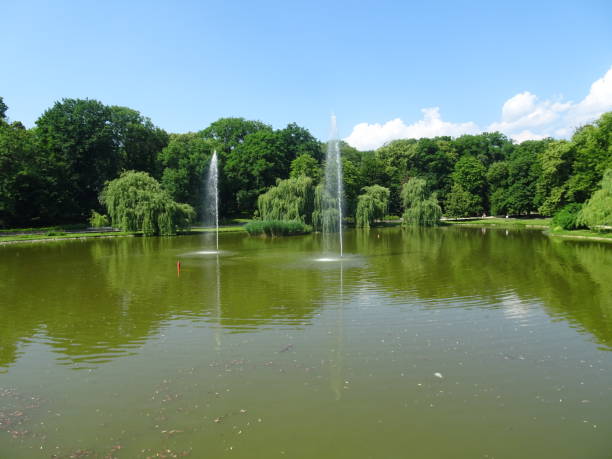 istock Park landscape with the small  lake 1341855902
