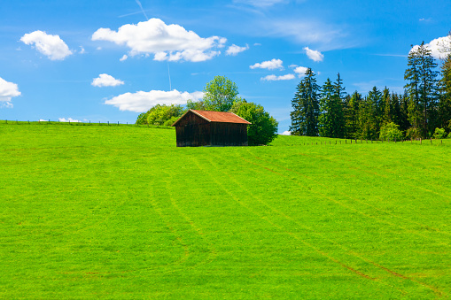 Shed on the green hill in the spring . Rustic barn on the agricultural field