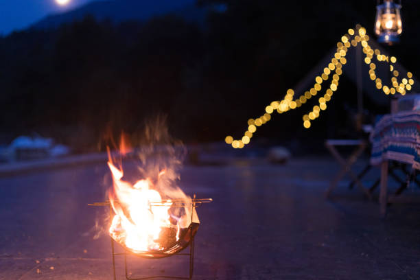 istock Burning campfire on the beach on mycamping trip 1341859722