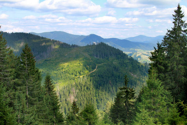 istock Carpathian landscape in summer 1341859980
