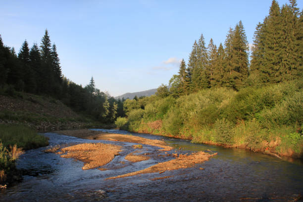 istock Landscape at sunset. Carpathians 1341860110