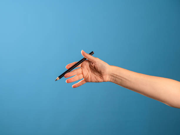istock Create art, creative professions, an artist or an architect, training and the creative process. 1341862540