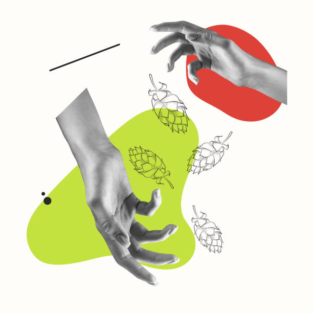 istock Creative composition, collage of human hands and beer hops siolated over pastel background with red and green blots 1341862620