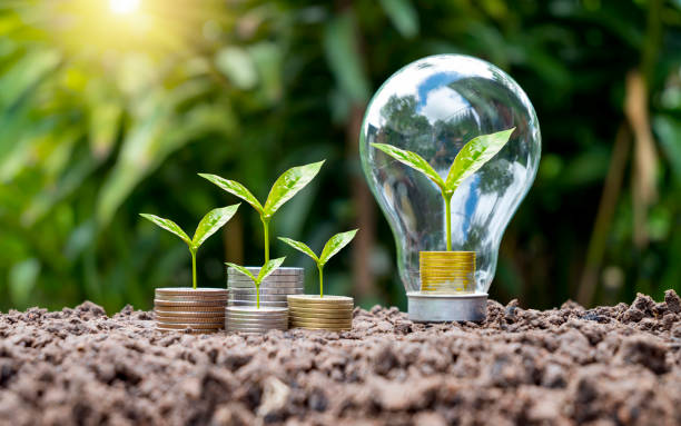 istock Trees grow on coins in energy-saving light bulbs, energy-saving, and environmental concepts on earth day. 1341862668