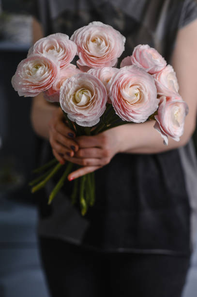 istock Persian buttercup. Bunch pale pink ranunculus flowers 1341863951