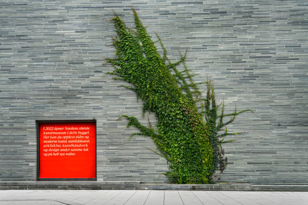Oslo, Norway. September 2021. the climbing ivy on the outer wall of the Nasjonalmuseet in the city center
