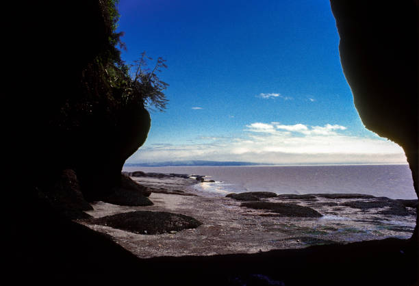istock Hopewell Rocks - Beach Framed by Rocks - 1985 1341866866