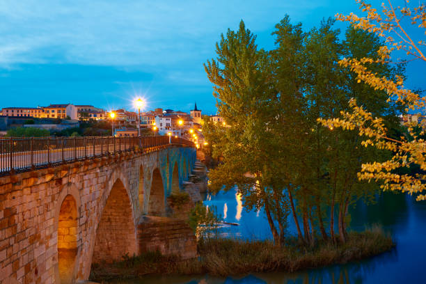 istock Zamora Stone Bridge on Duero 1341867295