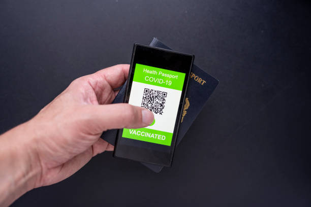 istock Digital passport app on mobile phone in a hand 1341868754