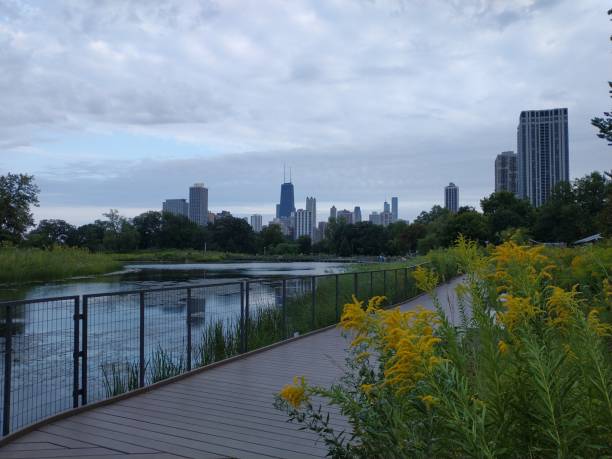 istock Lincoln Park Pond and John Hancock building - Chicago 1341869056