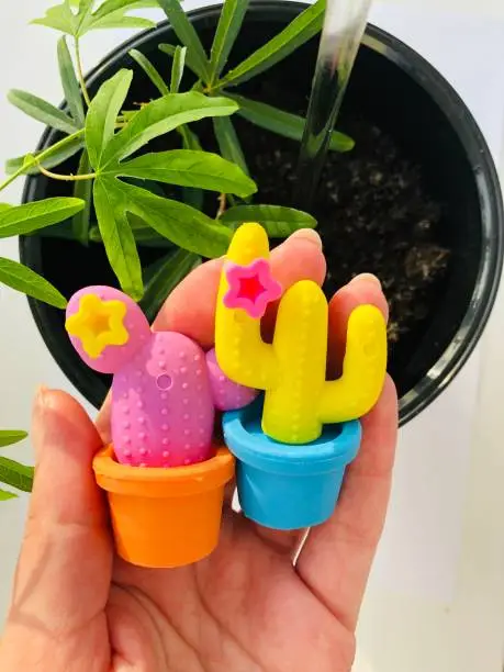 small multi-colored toy cacti in hand on the background of a plant in a pot