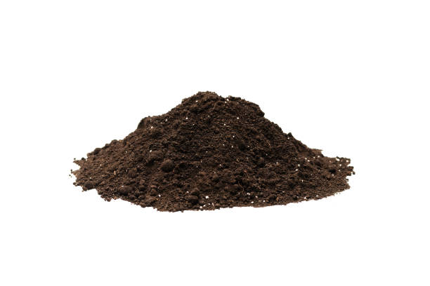 istock Black land for plant isolated on white background. 1341871341