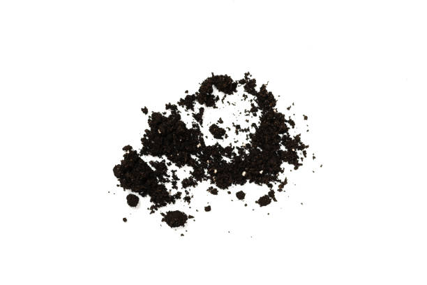 istock Black land for plant isolated on white background. 1341871464