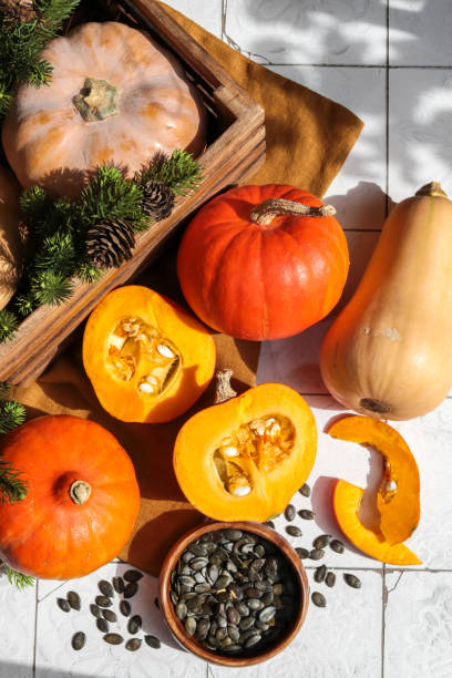 istock Autumn Pumpkin Variety with cut open Squash gourd and pumpkin seeds 1341873367