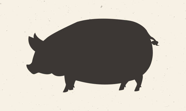 свинья, икона свинины. силуэт черной свиньи выделен на светлом фоне. сельскохозяйственное животное предназначено для эмблем, значков, плак� - pig piglet butcher ranch stock illustrations