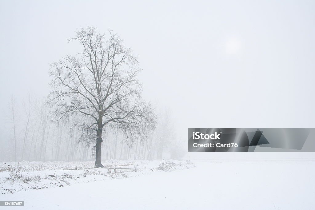Зимний сезон - Стоковые фото Без людей роялти-фри