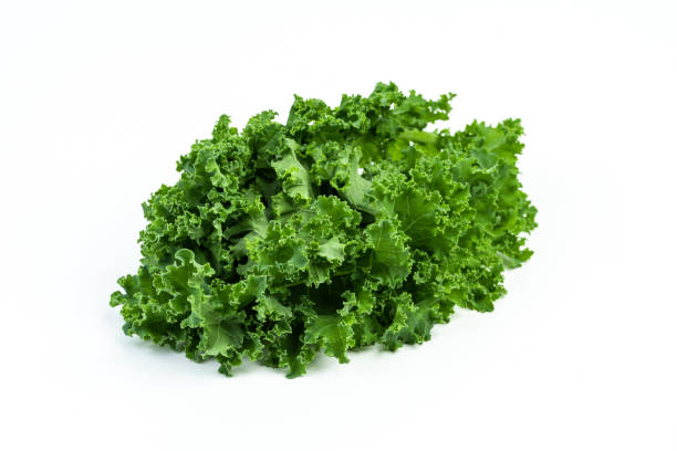 istock Kale leaf salad vegetable isolated on white background. Creative layout made of kale closeup. 1341876609