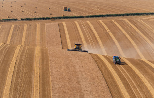 istock Combine and tractors crop havesting on a dry sunny day 1341876613