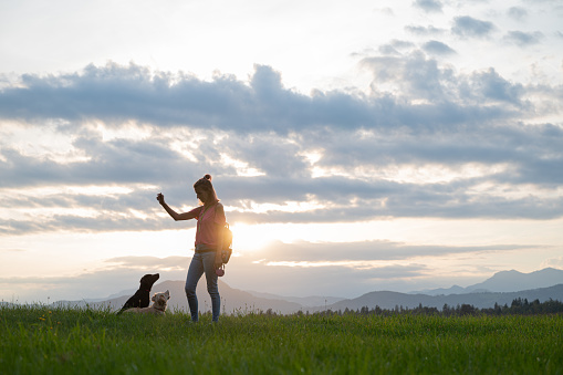 Young woman standing outside in a beautiful green meadow obedience training her two dogs. Backlit by the setting sun.