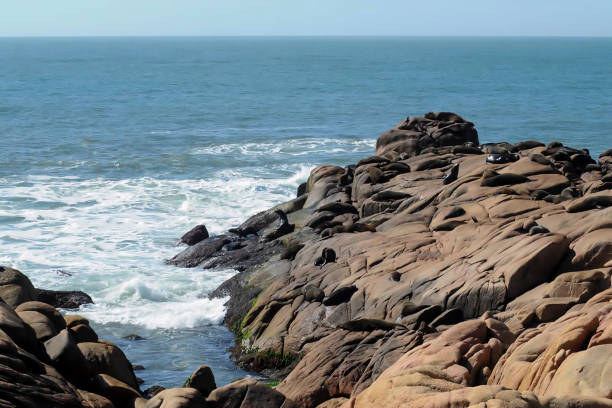 istock Landscapes of Uruguay 1341879882
