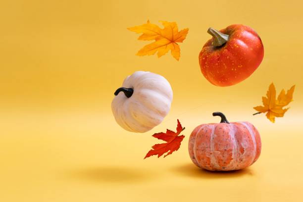 istock Three pumpkins on warm background. Levitation autumn, halloween concept. Copy space. 1341879919