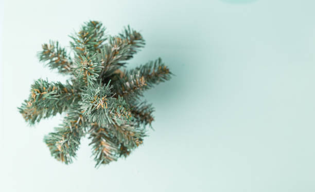istock Small decorative Christmas tree on a blue background, top view 1341879938