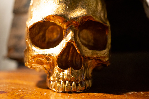 Human skull on wooden table. Single object on wooden table.