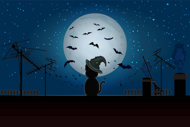 Halloween cat sitting on roof in full moon. Black cat on  house roof with moonlight and starry night. vector art illustration