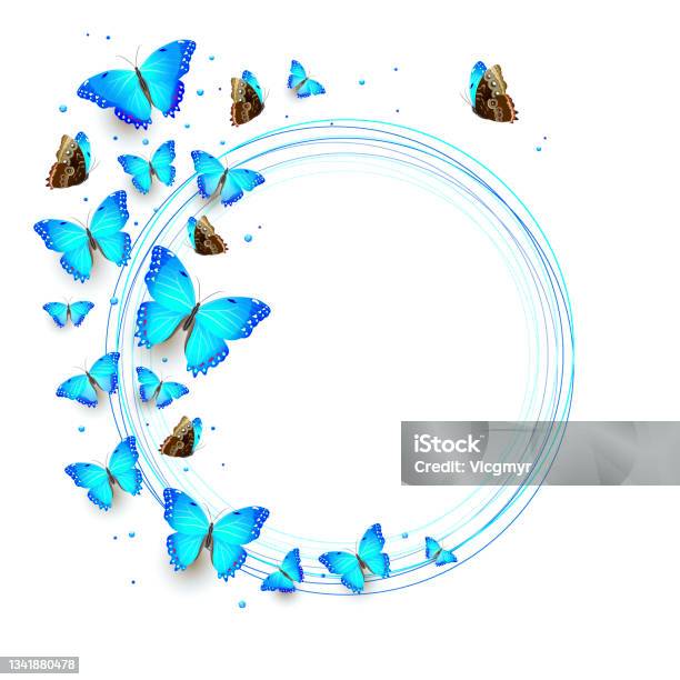 Ilustración de Bandada De Mariposas Voladoras Azules y más Vectores Libres  de Derechos de Mariposa - Lepidópteros - Mariposa - Lepidópteros, Rebaño,  Retrato - iStock
