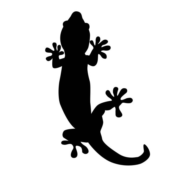 eidechsensymbol auf weißem hintergrund isoliert. - lizard stock-grafiken, -clipart, -cartoons und -symbole