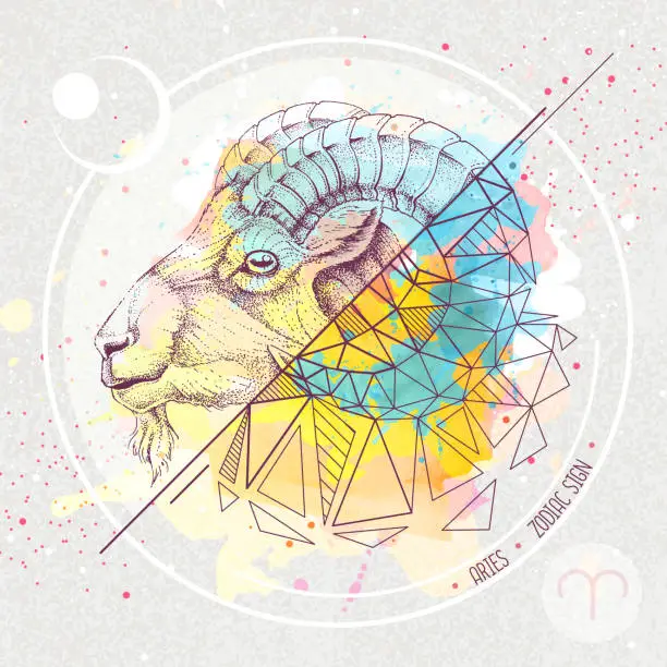 Vector illustration of Realistic hand drawing and polygonal ram of mouflon head illustration on watercolor background. Magic card with Aries zodiac sign