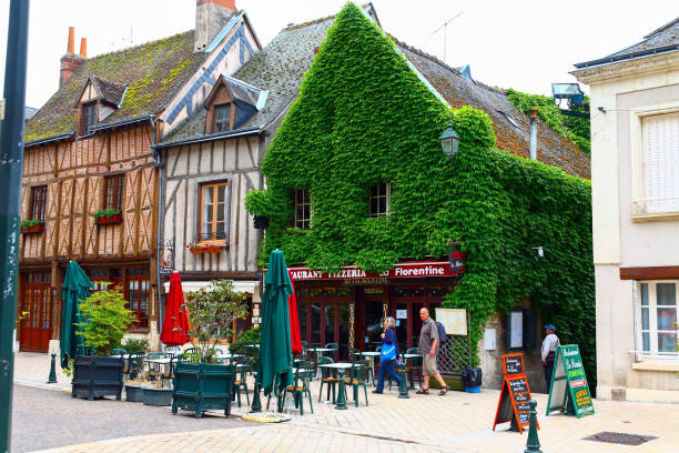 Building overgrown with vegetation in Amboise stock photo