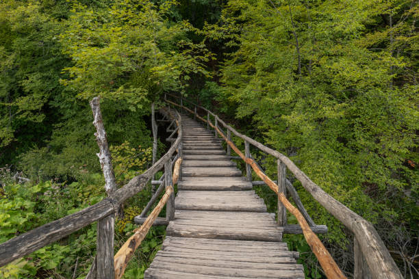 istock Wooden footbridge in the forest 1341884777