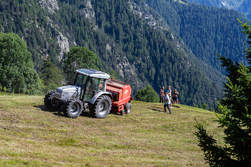 Fenilliaz, Aosta Valley, Italy - August 6, 2021: Hay harvest in the mountains.