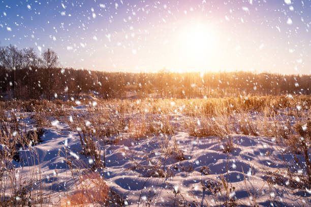 istock Sunrise or sunset in a winter field covered with falling snow and with trees and grass covered with frost. 1341888965