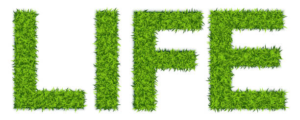 istock Word LIFE Made of Green Grass, Astroturf Lettering 1341889630