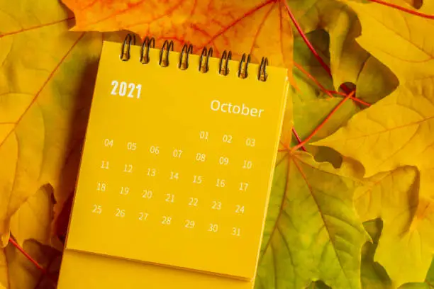 A tear-off calendar for October 2021 and an autumn bouquet of bright maple leaves.The concept of the Golden Autumn